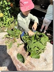 IMG_0093