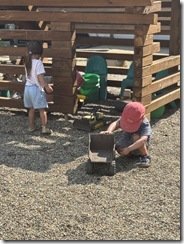 IMG_0376
