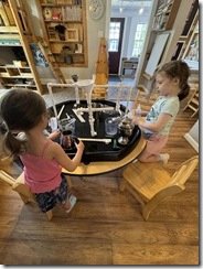 IMG_0548