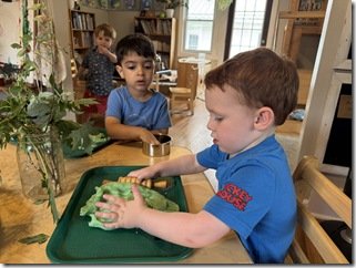 IMG_1373