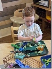 IMG_1652