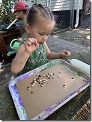 IMG_1723