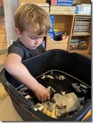 IMG_1780