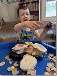 IMG_2602