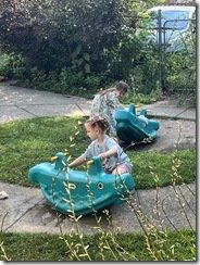 IMG_8279