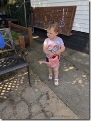 IMG_8768