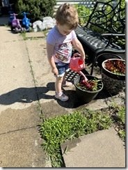 IMG_8780