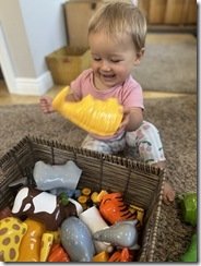IMG_0858