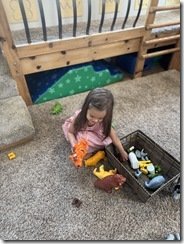 IMG_0868