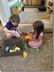 IMG_0870