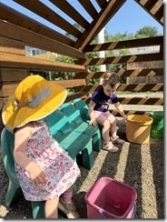 IMG_0919