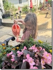 IMG_0958