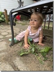 IMG_1661