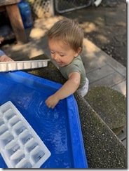 IMG_2307
