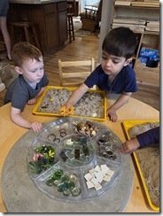 IMG_6554