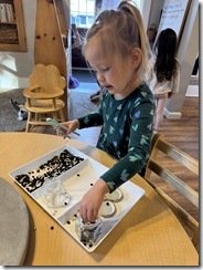 IMG_0201