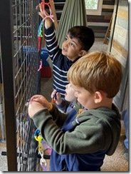 IMG_0317
