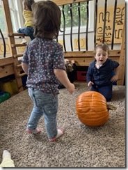 IMG_6926