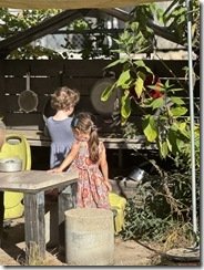 IMG_7201