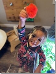 IMG_7933