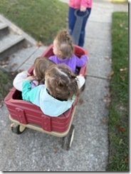 IMG_8027
