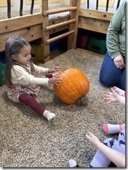 IMG_8113