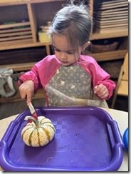 IMG_8545