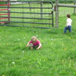 View album View album