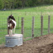 View album View album