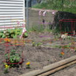 View album View album