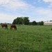 View album View album