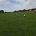 View album View album