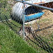 View album