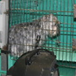 View album