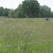 View album