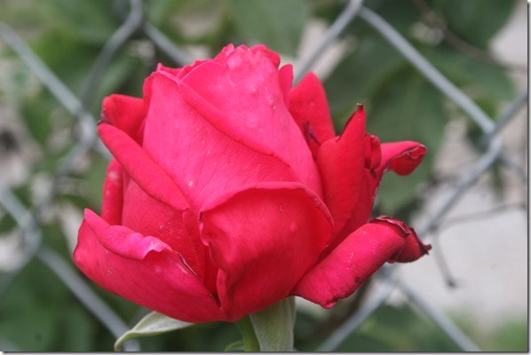 035