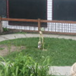View album