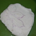 View album