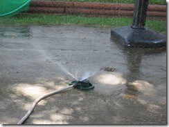 IMG_5587