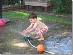 IMG_5600