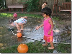 IMG_5617