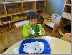 IMG_5952