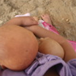 View album