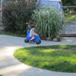 View album View album