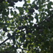 View album