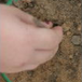 View album