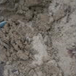 View album