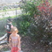 View album View album