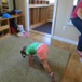 View album View album