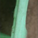 View album